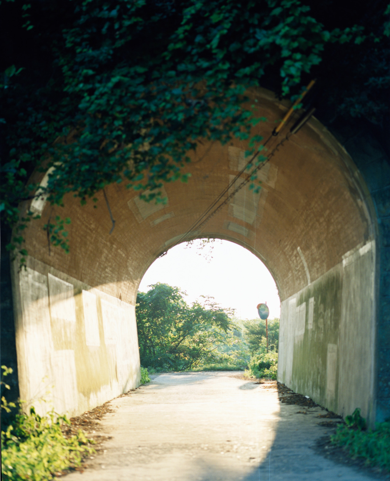 岩美町｜しまっておいた日本がある。